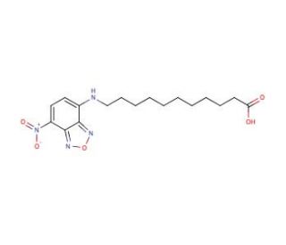 NBD-undecanoic acid - chemical structure image