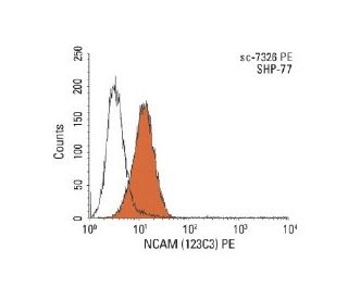 NCAM/CD56 Antibody (123C3) | SCBT - Santa Cruz Biotechnology