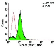 NCAM/CD56 Antibody (ERIC 1) | SCBT - Santa Cruz Biotechnology