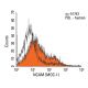 NCAM/CD56 Antibody (MOC-1) - Flow Cytometry - Image 12509