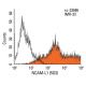 NCAM-L1 Antibody (5G3) - Flow Cytometry - Image 11467 