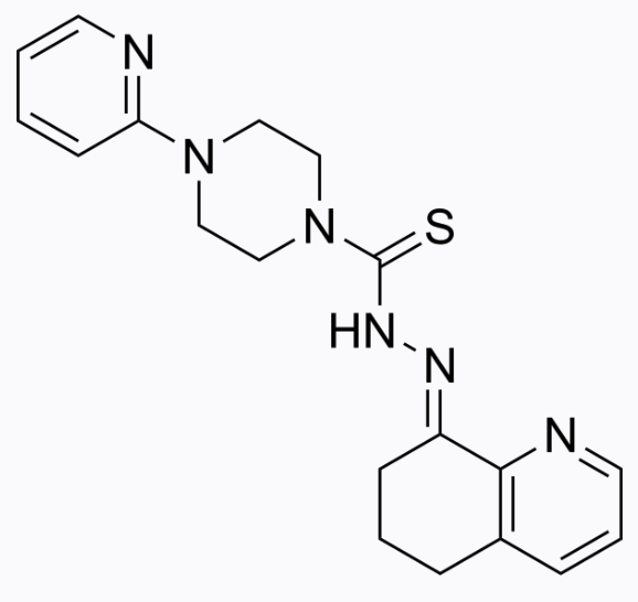 akapi1223様確認用 YAP (YAP1) antibody - BiCell Scientific®