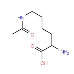 Nepsilon-Acetyl-L-lysine | CAS 692-04-6 | SCBT