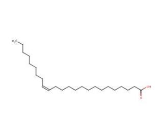 Nervonic acid (CAS 506-37-6) - chemical structure image