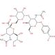 Neu5Ac α(2-6)Gal β(1-3)GlcNAc-β-pNP - chemical structure image