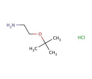 NH2-Et-OtBu Hydrochloride (CAS 335598-67-9) - chemical structure image