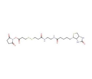 NHS-SS-(&plus;)-Biotin (CAS 142439-92-7) - chemical structure image