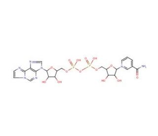 Nicotinamide 1,N<sup>6</sup>-ethenoadenine dinucleotide (CAS 38806-38-1) - chemical structure image