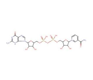 Nicotinamide guanine dinucleotide sodium salt (CAS 5624-35-1) - chemical structure image