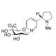 Nicotine-N-β-glucuronide (CAS 153536-53-9) - chemical structure image