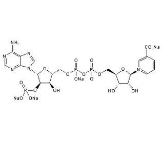 Nicotinic acid adenine dinucleotide phosphate sodium salt (CAS 5502-96-5) - chemical structure image