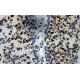 Nitrotyrosine Antibody (39B6) - Immunohistochemistry - Image 9243 
