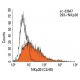 NKp30 Antibody (CLH9) - Flow Cytometry - Image 11489