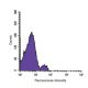 NKp46 Antibody (n1D9) - Flow Cytometry - Image 67351