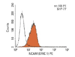 Normal Mouse IgG 1 -PE | SCBT - Santa Cruz Biotechnology