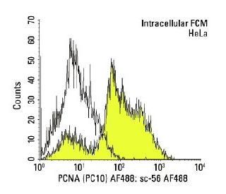 PCNA (PC10) AF488: sc-56 AF488. Intracellular FCM analysis of fixed and permeabilized HeLa cells. Black line histogram rep