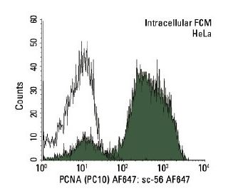 PCNA (PC10) AF647: sc-56 AF647. Intracellular FCM analysis of fixed and permeabilized HeLa cells. Black line histogram rep
