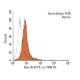 Bax (B-9) PE: sc-7480 PE. Intracellular FCM analysis of fixed and permeabilized Ramos cells. Black line histogram represen 