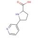Nornicotine-2-carboxylic Acid (CAS 3562-11-6) - chemical structure image