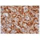 eNOS Antibody (C-6) - Immunohistochemistry - Image 351530
