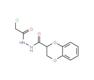N&prime;-(2-chloroacetyl)-2,3-dihydro-1,4-benzodioxine-2-carbohydrazide - chemical structure image