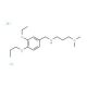 N′-(3-Ethoxy-4-propoxy-benzyl)-N,N-dimethyl-propane-1,3-diamine dihydrochloride - chemical structure image