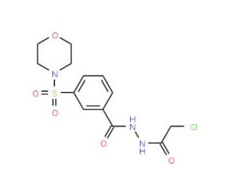 N&prime;-(chloroacetyl)-3-(morpholin-4-ylsulfonyl)benzohydrazide - chemical structure image