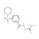 N′-(chloroacetyl)-3-(morpholin-4-ylsulfonyl)benzohydrazide - chemical structure image