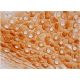 Nrf1 Antibody (E-4) - Immunohistochemistry - Image 286406 