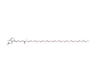 O-(2-Aminoethyl)-O&prime;-[2-(biotinylamino)ethyl]octaethylene glycol (CAS 960132-48-3) - chemical structure image