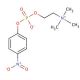 O-(4-Nitrophenylphosphoryl)choline (CAS 21064-69-7) - chemical structure image