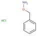 O-Benzylhydroxylamine Hydrochloride (CAS 2687-43-6) - chemical structure image