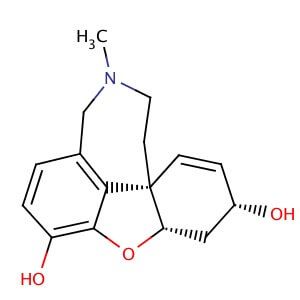 O Desmethyl Galanthamine Cas Scbt Santa Cruz Biotechnology