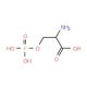 O-Phospho-DL-serine (CAS 17885-08-4) - chemical structure image