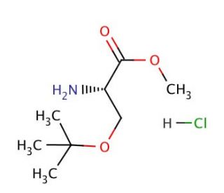 O-tert-Butyl-L-serine methyl ester hydrochloride (CAS 17114-97-5) - chemical structure image