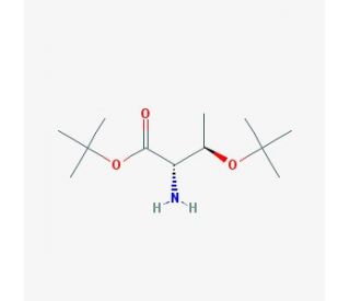 O-tert-Butyl-L-threonine-tert-butyl ester (CAS 5854-78-4) - chemical structure image