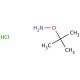 O-tert-Butylhydroxylamine hydrochloride (CAS 39684-28-1) - chemical structure image