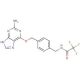 O6-[4-(Trifluoroacetamidomethyl)benzyl]guanine (CAS 680622-70-2) - chemical structure image
