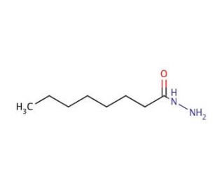 Octanoic hydrazide (CAS 6304-39-8) - chemical structure image