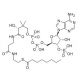 Octanoyl coenzyme A (CAS 1264-52-4) - chemical structure image