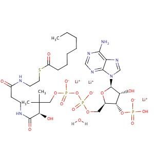 Octanoyl coenzyme A lithium salt | CAS 324518-20-9 | SCBT