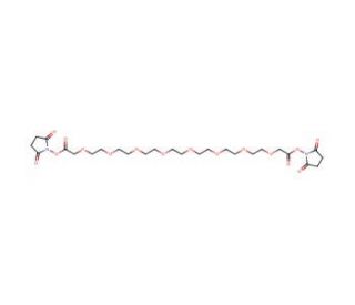 Octaoxahexacosanedioic Acid Bis(N-Hydroxysuccinimide) Ester - chemical structure image