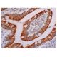 OPLAH Antibody (C-6) - Immunohistochemistry - Image 344328 