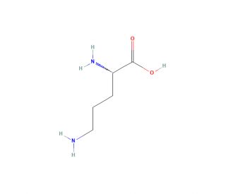 Ornithine (CAS 70-26-8) - chemical structure image