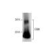 western blotting image from recommended OSM (G-1) monoclonal antibody replacement. Image 287493