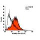 OSMR β Antibody (AN-U2) - Flow Cytometry - Image 5977 