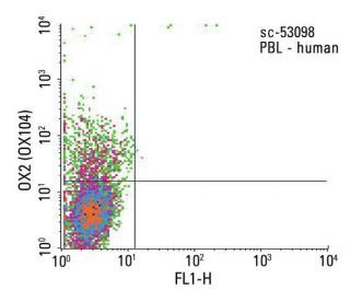 OX2 Antibody (OX104) - Flow Cytometry - Image 13790