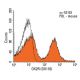 OX2R Antibody (OX110) - Flow Cytometry - Image 13794