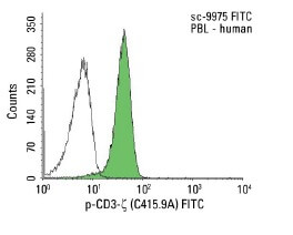 p-CD3-ζ Antibody (C415.9A) | SCBT - Santa Cruz Biotechnology p-CD3-ζ Antibody (C415.9A) | SCBT - Santa Cruz Biotechnology