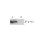 p-PACT Antibody (HL1921) - Western Blotting - Image 47891